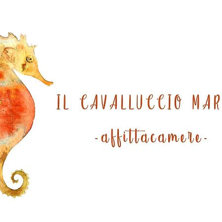 Il Cavalluccio Marino Manarola Kültér fotó