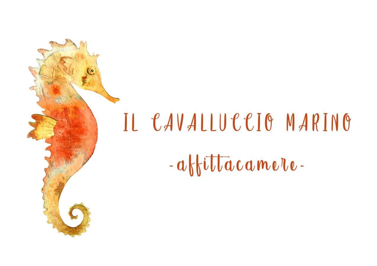 Il Cavalluccio Marino Manarola Kültér fotó